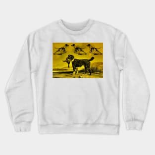 pheasant hunting dog Crewneck Sweatshirt